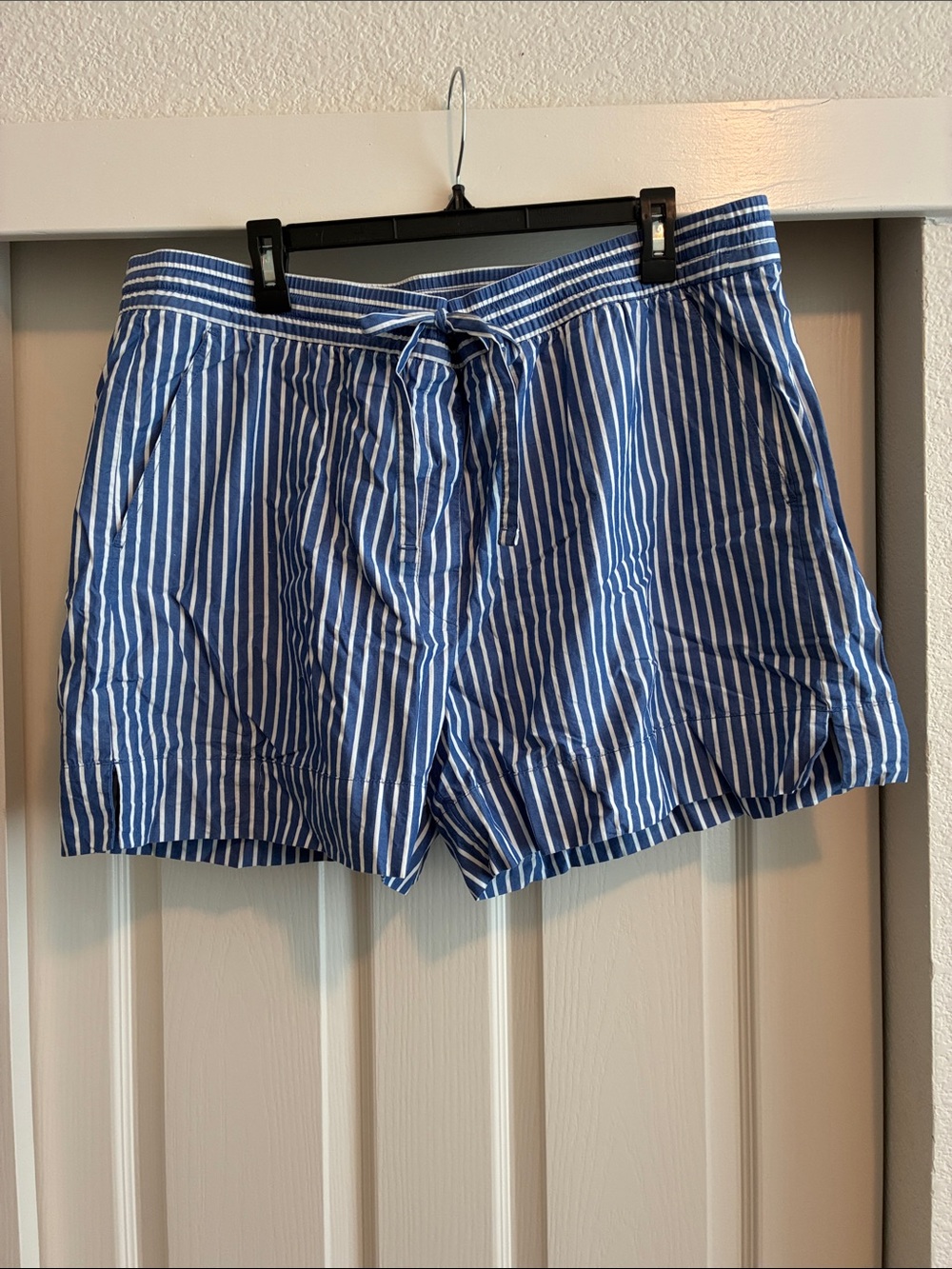 Banana Republic Blue and White Striped Women’s Shorts